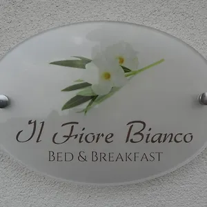 Il Fiore Bianco Couette-café